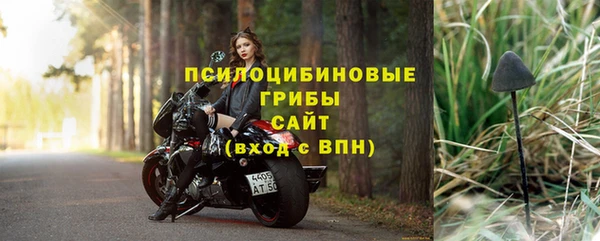 apvp Протвино